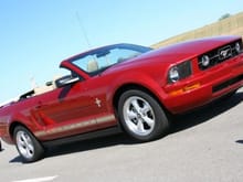 Mustang Photo Archive 2005-2009 Mustangs 2008 Mustang 2008 Pony