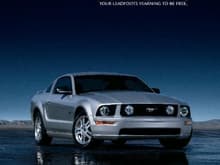 Mustang Photo Archive 2005-2009 Mustangs 2005 Mustang 2005 Mustang Ads