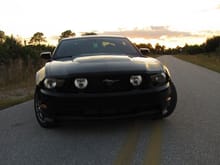 Mustang 509