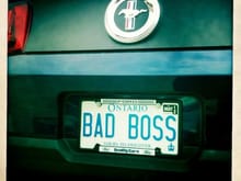 The Bad Boss.