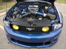 will fit under stock hood.  however, planning on installing a GT500 Eaton Supercharger this winter.