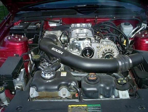 SORRY PICTIGER WENT AWAY WITH ALL THE PICS BUT HERE IS FINAL RESULTS! 