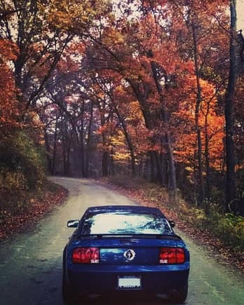 Another scenic view of some Michigan backstreets...with admittedly a bit of filter.