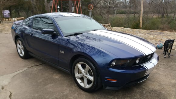 My 2012 Kona Blue Mustang GT