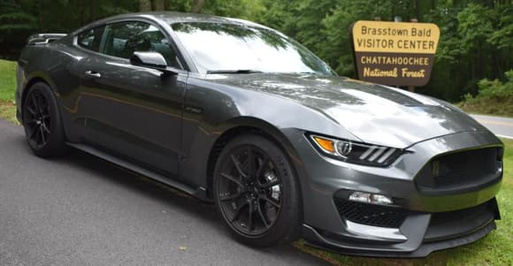2019 GT350 (Magnetic Metallic is what Ford called dark grey)