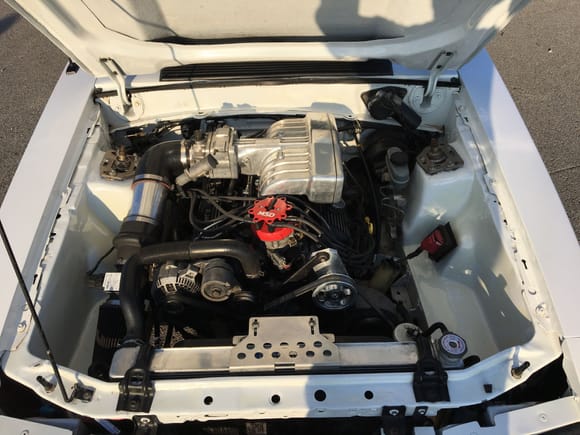 Engine bay all clean