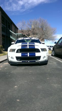 2013 GT500 mods lethal performance xpipe, Ford racing mufflers, JLT cai, Lund tune, Barton shifter, Supersnake hood