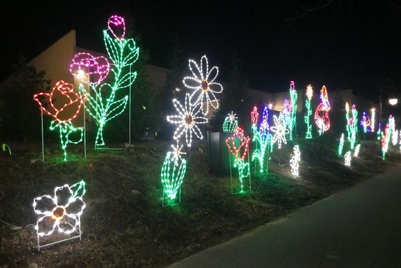 Endless lights and displays along the path