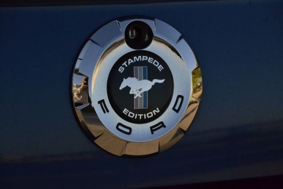 Rear badge