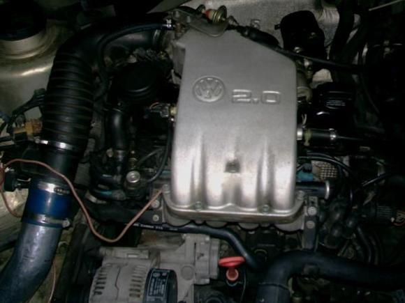 under the hood. nothing special.