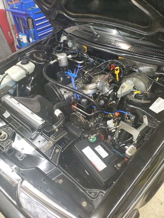 Engine compartment is coming alone.  Once all the big items are completed will be replacing all the hose cla