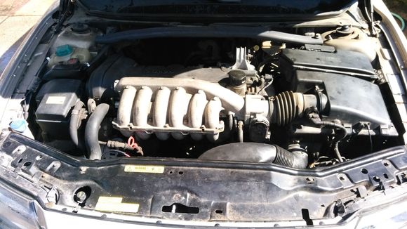 needs a little cleaning when spring gets here