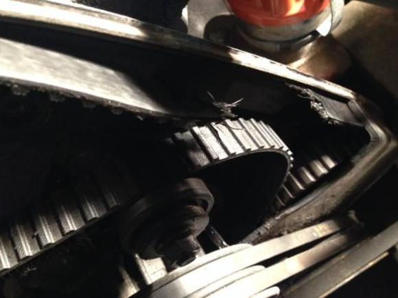 Broken timing belt - replace belt, camshaft seal, crankshaft seal and intermediate seal, plus installed new GMB water pump and lower house.  Fluid radiator at the same time.