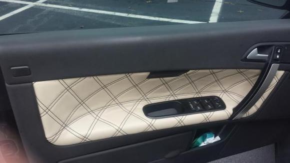 Door Panel