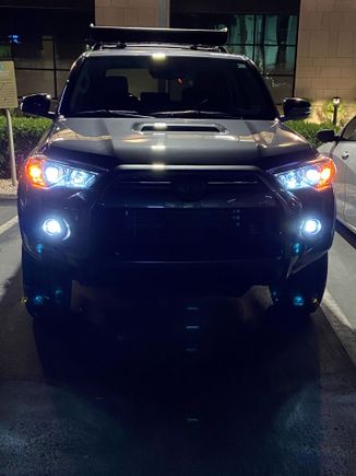 Had to drive out of state to pickup this beauty this past weekend! Worth it!