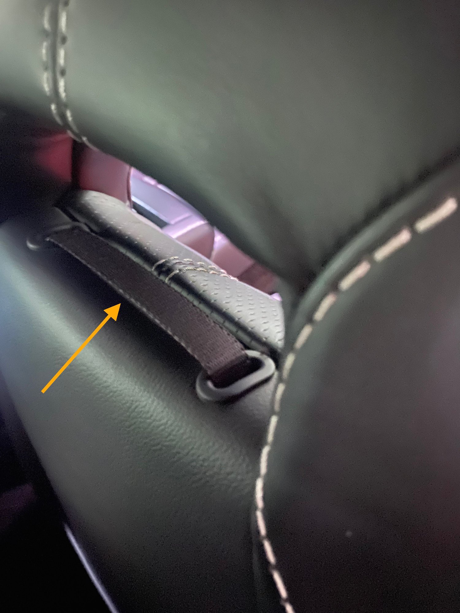 View from back....strap can be accessed from front or back.