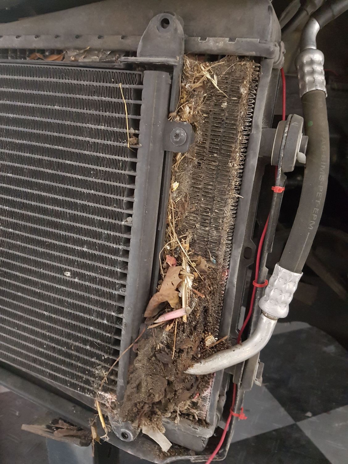 Front radiator leak AKA The nasty show....Clean your radiators before