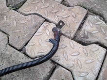 Totally bust up cable