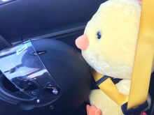 Copilot