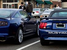 2 blue Mustangs.