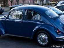 VM Beetle.