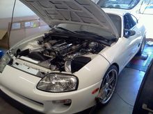 Lupe's Supra