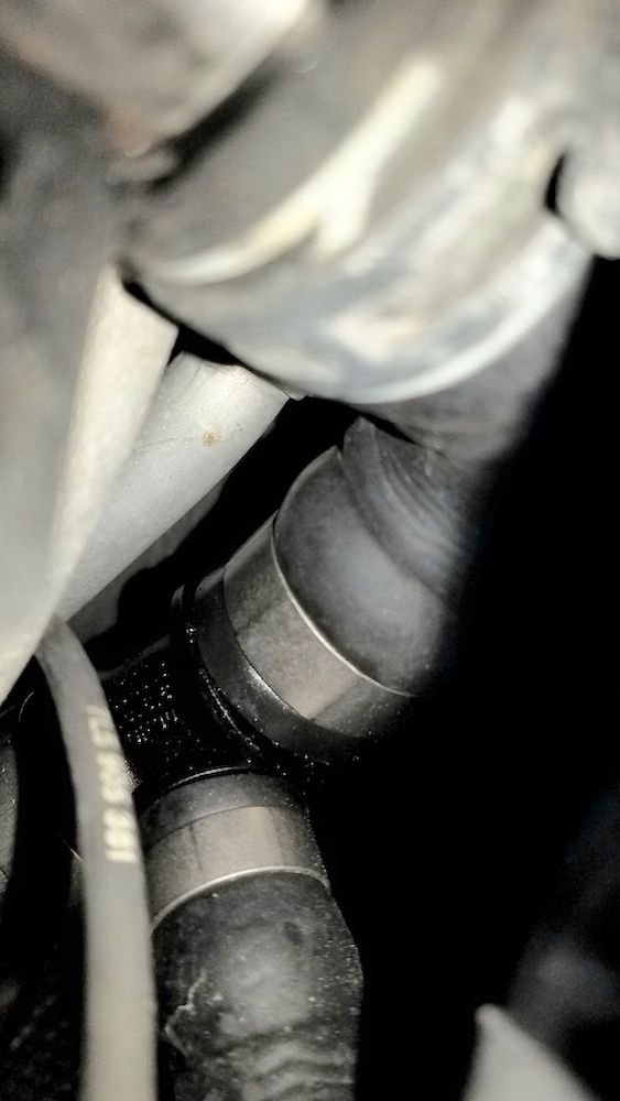 20190129_213254_1669fe2c9269fa372a3489fb