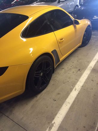Rears only