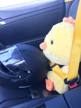 Copilot