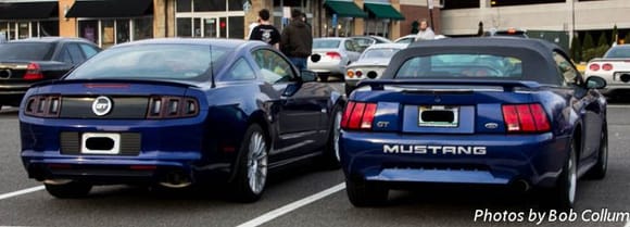 2 blue Mustangs.