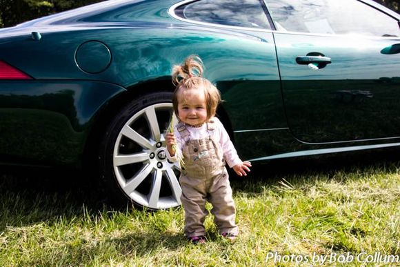 This cutie came over to help me sell my XK Coupe.