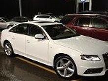 IMG 0269
