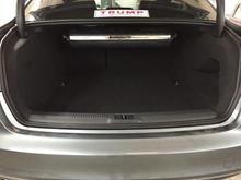 Trunk 3