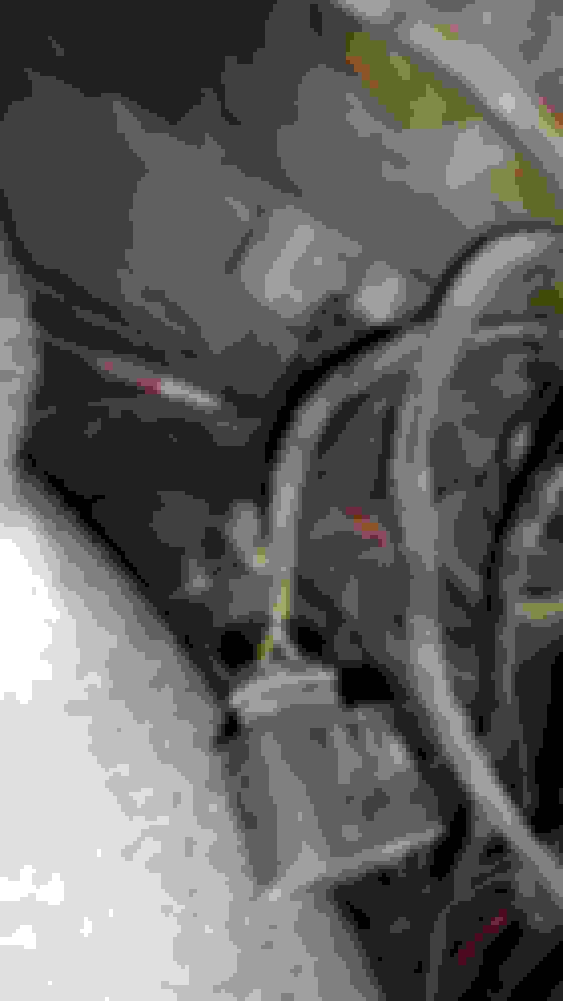 Switch engine off and check coolant level... sounds simple, right
