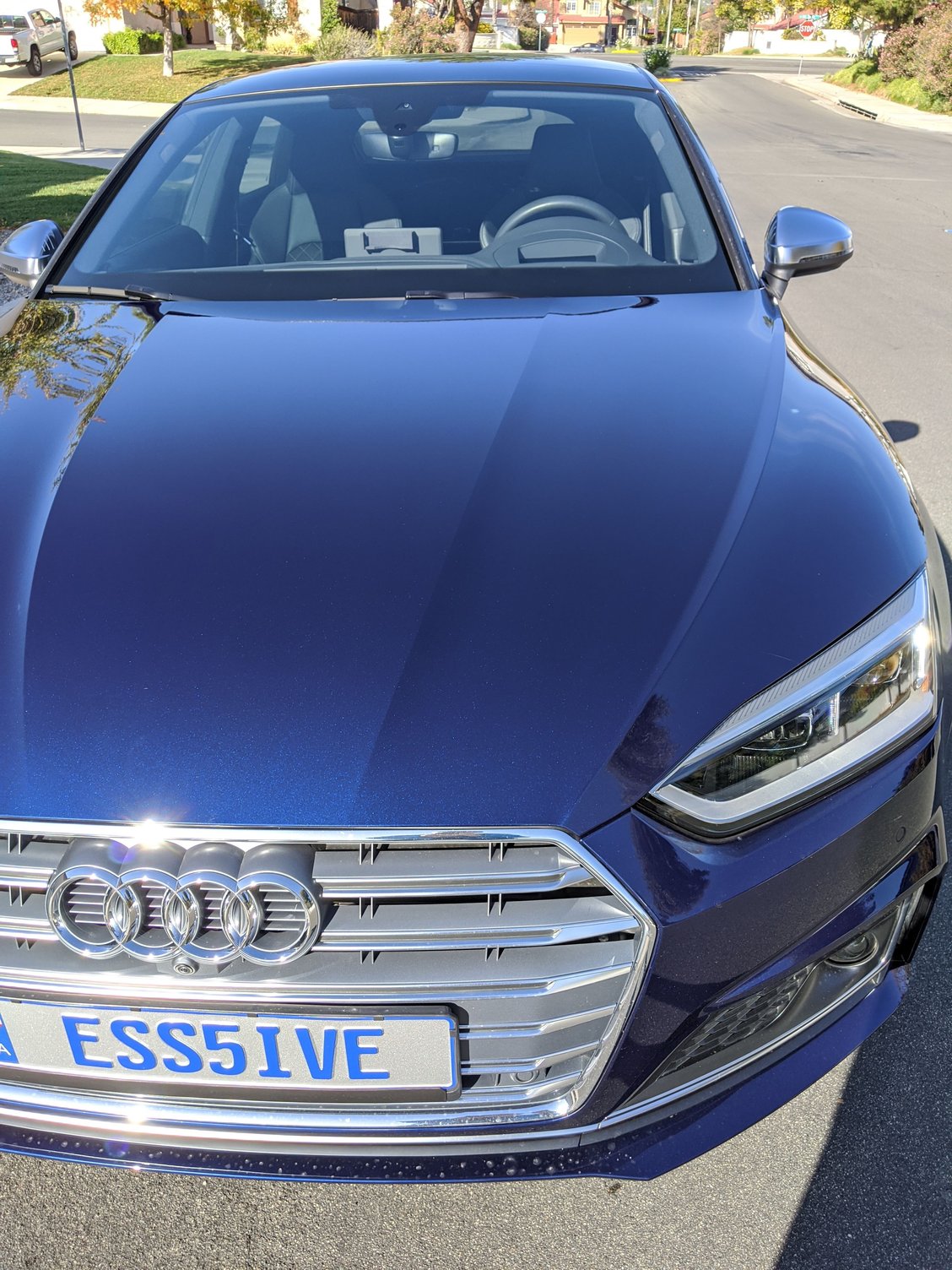 Rock chips on front of hood any luck with diy? AudiWorld Forums