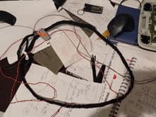 REVERSE CAMERA HARNESS BUILD WITH ELSA GUIDE