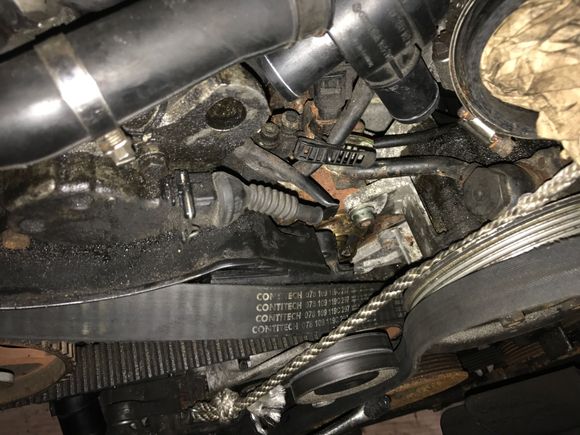 Quattroworld Com Forums Thermostat Amp Housing Replacement