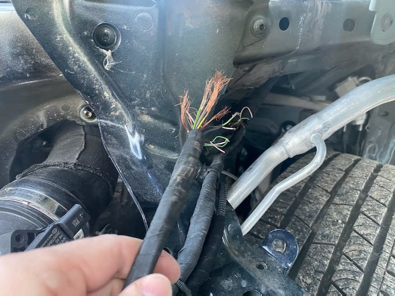 Q8 Wiring Help? - AudiWorld Forums