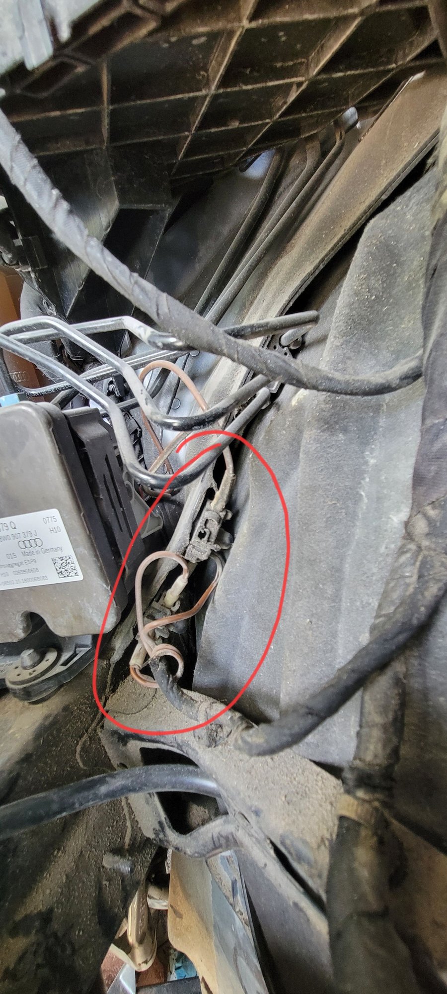 B9 A5 headlight wiring issue, bad ground or missing part AudiWorld Forums