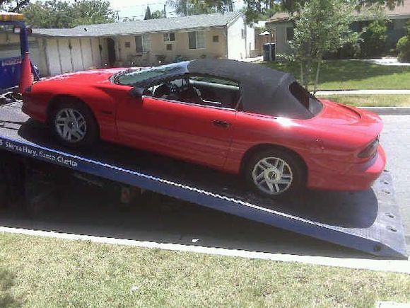 94' Z28 - It's a fun car when it's not up on a rack.....