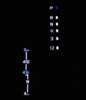 Electroluminescent Lighting