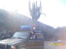 Travel for fun & adventure