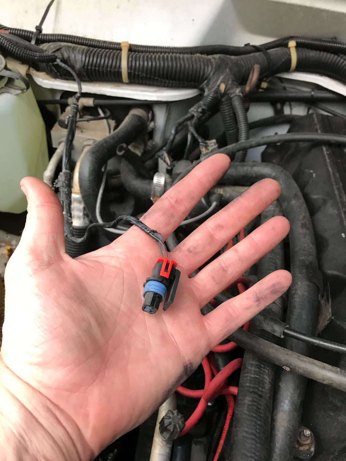 After rebuild wiring help! - Jeep Cherokee Forum