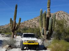 Too much snow on this thread, lately!