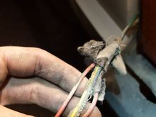 exposed green wire. green and yellow wires are somewhat connected side-by-side, how do you replace this kind of wire? can't really cut strip and use butt connectors when you have these two sets of wires basically attached but not electrically connected