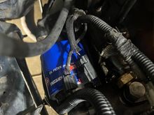 These two don’t seem to have a home