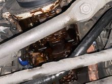 Checked bearings for wear and replaced oil pump. 