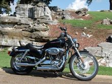 04 Sportster Custom