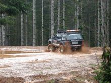 Like a dog thats been in the house to long, I go straight for the mud AWWW ! feel better all ready :)