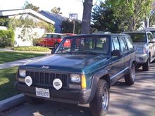 IMG 0338